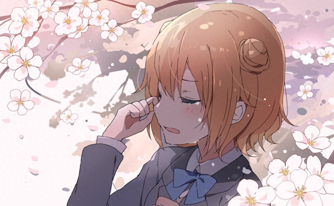 插画：樱花盛开，唯美的二次元樱花动漫美图