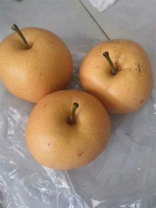 ​建议大家，清明扫墓，这6种水果别乱带，清明祭祀水果避坑指南