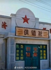 ​重返“大锅饭”时代：对计划经济与市场经济的现实审视