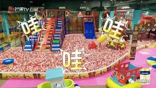 杨子为什么要打黄圣依(嫌弃黄圣依没文化的杨子)