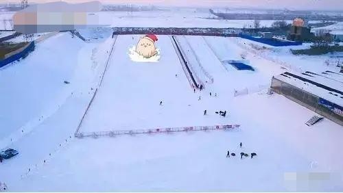 杨子为什么要打黄圣依(嫌弃黄圣依没文化的杨子)