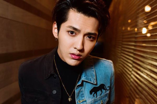 加拿大炮王吴亦凡是什么梗 黑料多到洗不白仍有粉丝支持