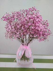 ​唯美满天星手机壁纸