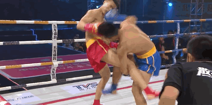 中国散打王是谁(人物｜全国散打冠军陈诚：十年习武路，我的荣耀和遗憾)