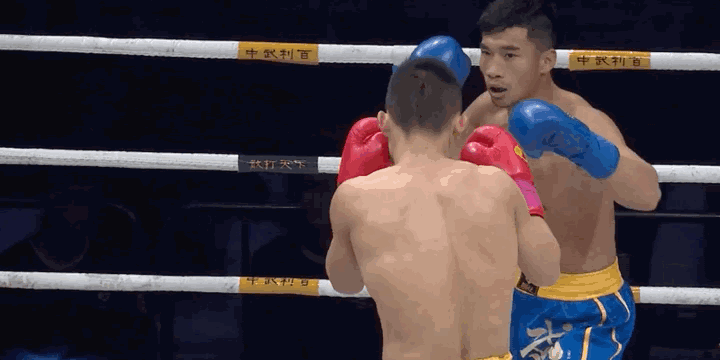 中国散打王是谁(人物｜全国散打冠军陈诚：十年习武路，我的荣耀和遗憾)