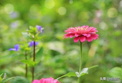 ​冷战中的男人是否会难过，分为两种情况