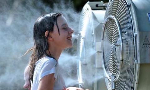 为什么明星容易生双胞胎?知道这些你还愿意做吗?