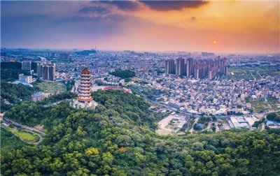 ​拥有36个公园，黄圃入选2019广东省森林小镇