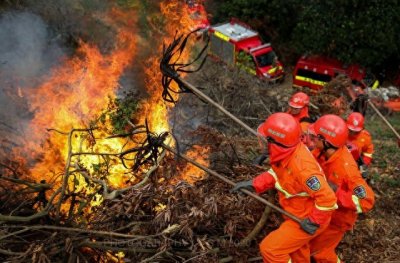 ​云南昭通彝良突发山火，消防、武警、林草等数百名人员协力救援