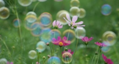 ​这些星座女不简单，能吃定阴柔细腻的男人，容易掌权