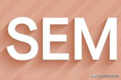 sem是什么(sem是什么仪器的缩写)-第1张图片-