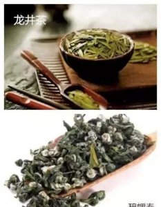 ​碧螺春和龙井哪个更好喝？