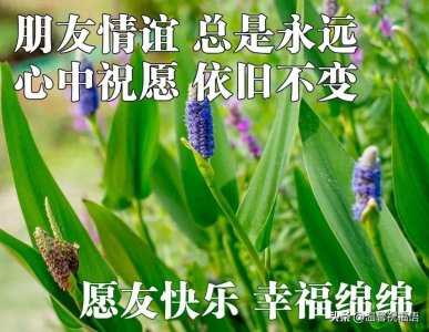 ​今天精选早上好问候语图片大全，早安唯美温馨祝福语