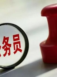 ​二级巡视员是什么级别