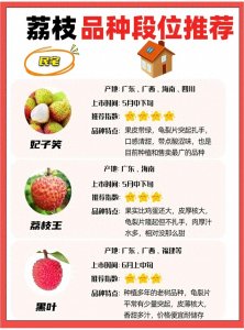 ​全网最全荔枝品种段位排行