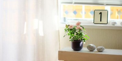 ​台湾腔的表白经典台词 速成话必用句子都在这儿