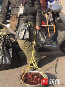 ​南京“夏日标配”小龙虾竟还有“库存”