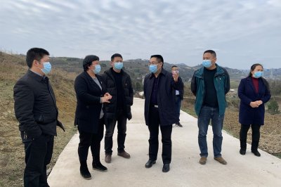 ​郭正勇到凤山镇调研