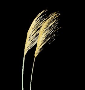 ​屏南未来三天天气预报（2024年11月30日）