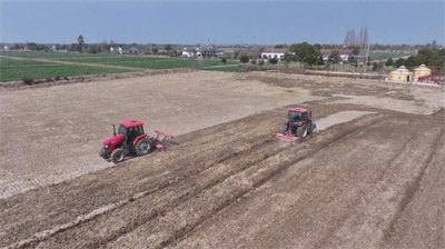 ​荆州：小麦起身拔节 农户春管要及时