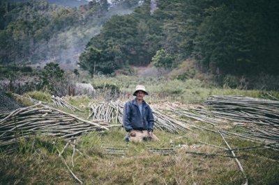​《西游记》中的樵夫是何许人也？菩提祖师道观下的普通农夫而已。