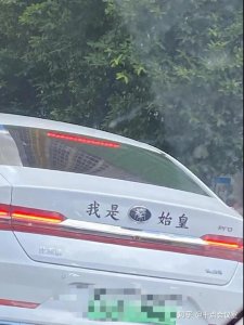 ​盘点全网笑到肚子疼的搞笑图片，笑死人不偿命~(第四期)