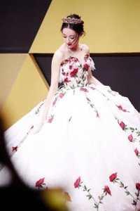 ​迪丽热巴一年22套高定