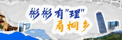 ​彬彬有“理”看桐乡：三个关键词，透视崇福“向新力”