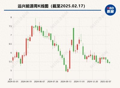 ​重大诉讼信息披露不及时  远兴能源及时任高管合计被罚800万元