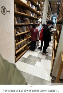 ​马蓉带儿女回陕西老家玩，一头金发似精神小妹，和王宝强轮番带娃