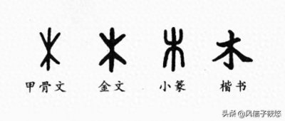 ​以五行分类论易经之道——第三篇（木道）