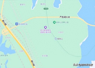 ​武汉即将起飞！世界级旅游地标阿那亚小镇来了！今年国庆节前亮相