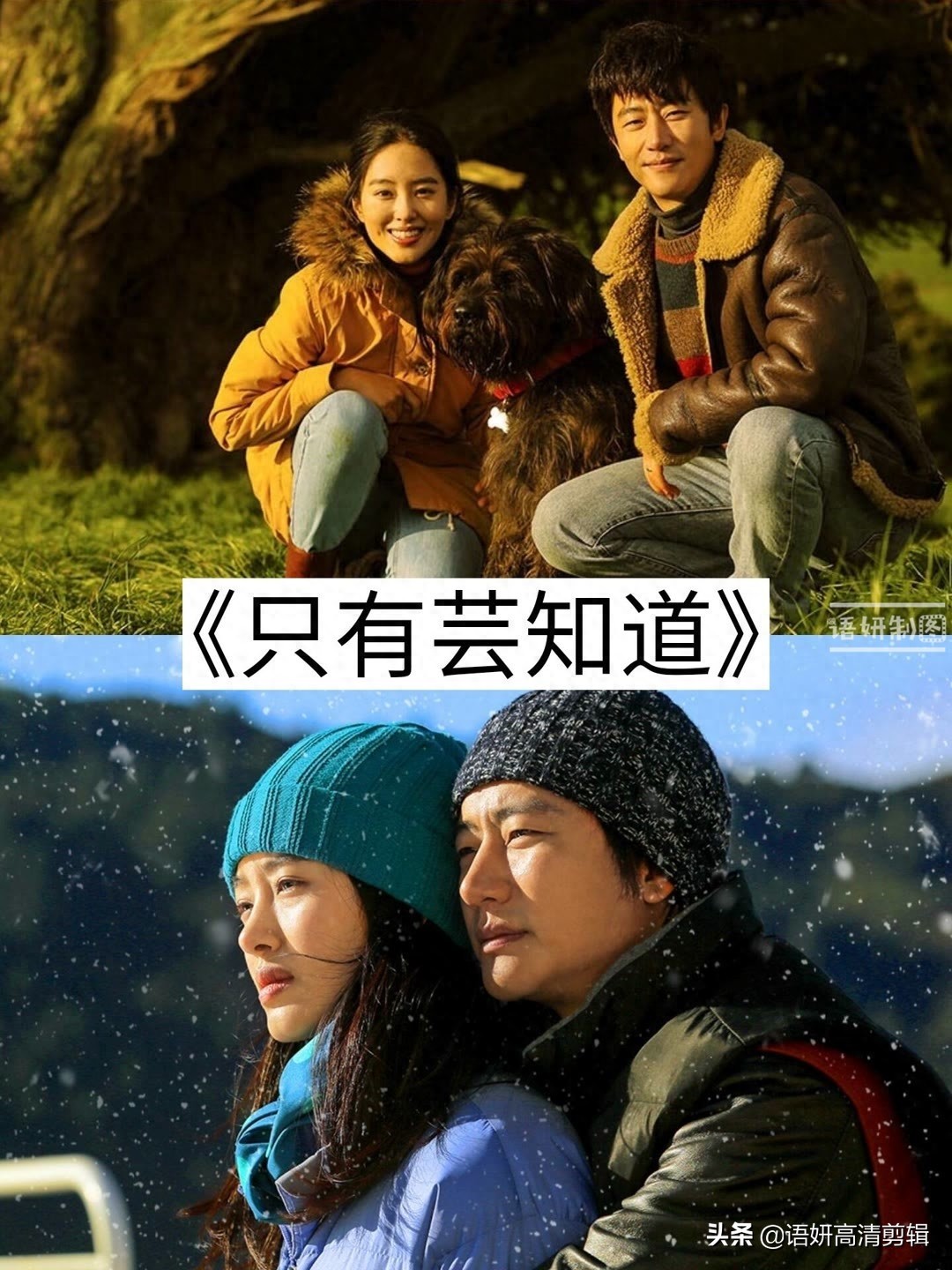 黄轩主演的影视剧,你看过哪几部?最喜欢哪一部?