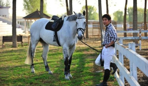 属马的明星有哪些(属羊的明星有哪些) 明星 第5张