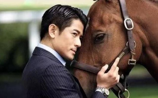 属马的明星有哪些(属羊的明星有哪些) 明星 第2张