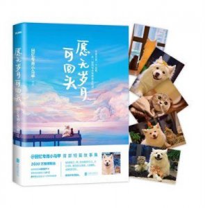 ​沈珂伊与回忆专用小马甲版权争议事件全解析