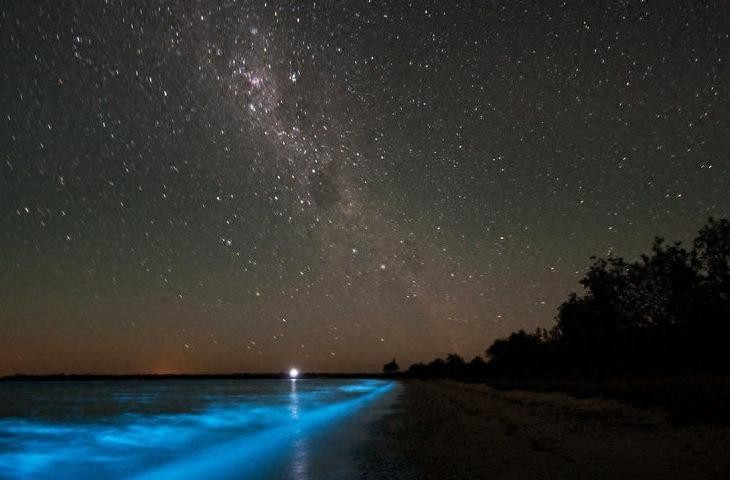 荧光海滩(火星湖)·马尔代夫