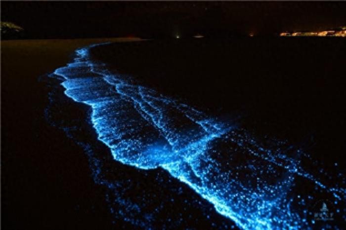 荧光海滩(火星湖)·马尔代夫