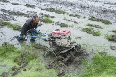 ​10大微耕机品牌出炉！我国哪些地方销量大， 近期价格怎么样？