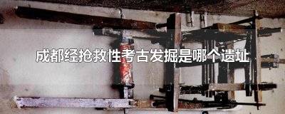 ​成都经抢救性考古发掘是哪个遗址