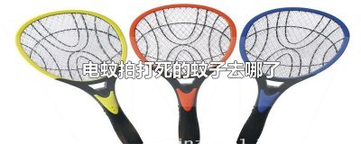 ​电蚊拍打死的蚊子去哪了