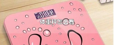 ​体重秤怎么看