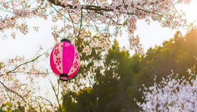 ​你若安好便是晴天是啥意思 你若安好便是晴天这句话是什么意思