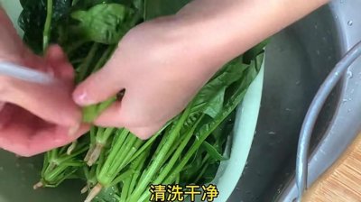 ​菠菜超好吃的做法，不炒不凉拌，爽口入味，开胃又下饭，简单解馋