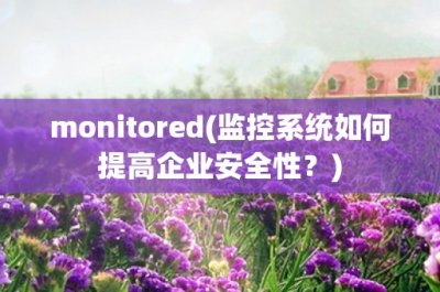 ​monitored(监控系统如何提高企业安全性？)