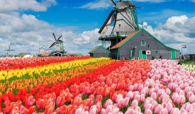 ​荷兰到底有多开放？很多国家都严令禁止的事，在这里几乎都合法