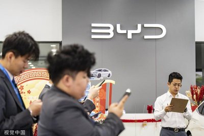 ​年赚约300亿，比亚迪提前唱喜：2025年归母净利同比涨超七成