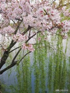 ​来杭州旅游，除了西湖，河坊街也是最值得你停留的地方