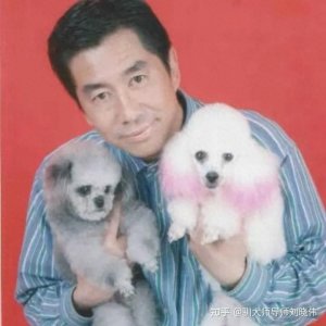 ​经历了宠物行业冷热，大连刘晓伟成为了国内知名的训犬师