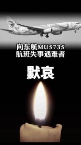 ​东航mu5735坠机事故祈福（祈祷奇迹发生悼东航3）